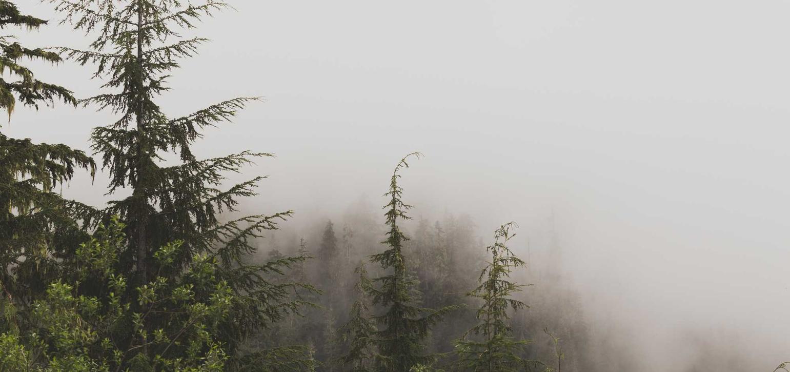 百事3娱乐,注册|京东传媒账号注册