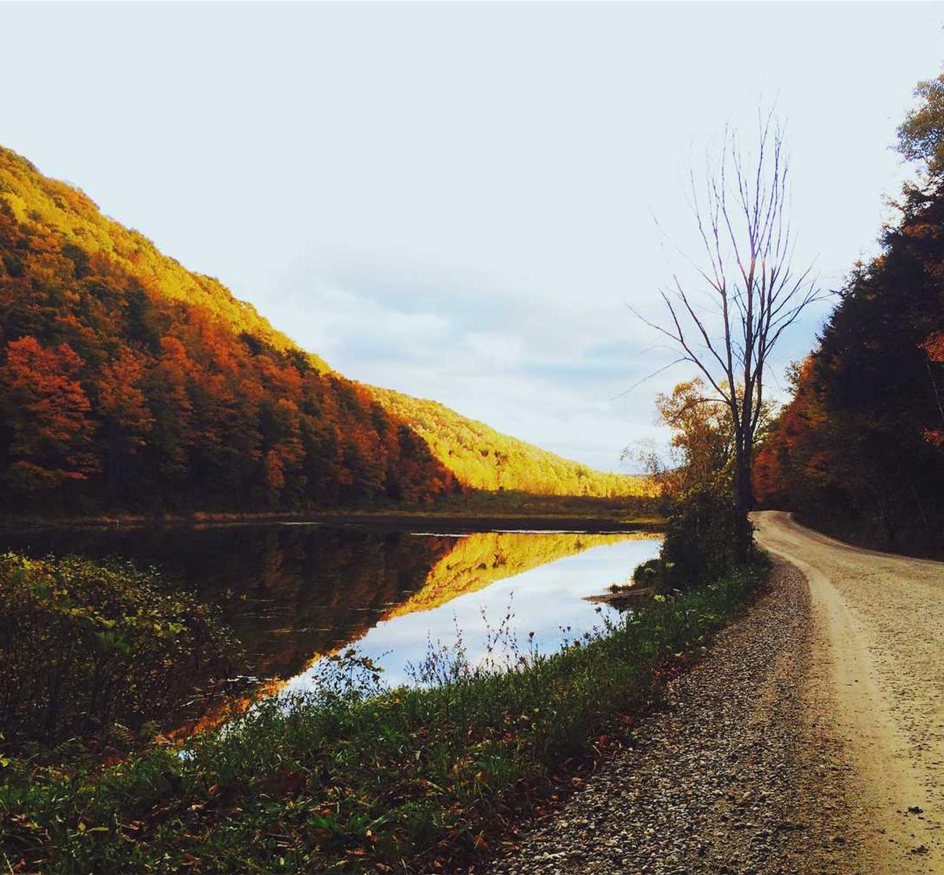 电视购买平台骗人