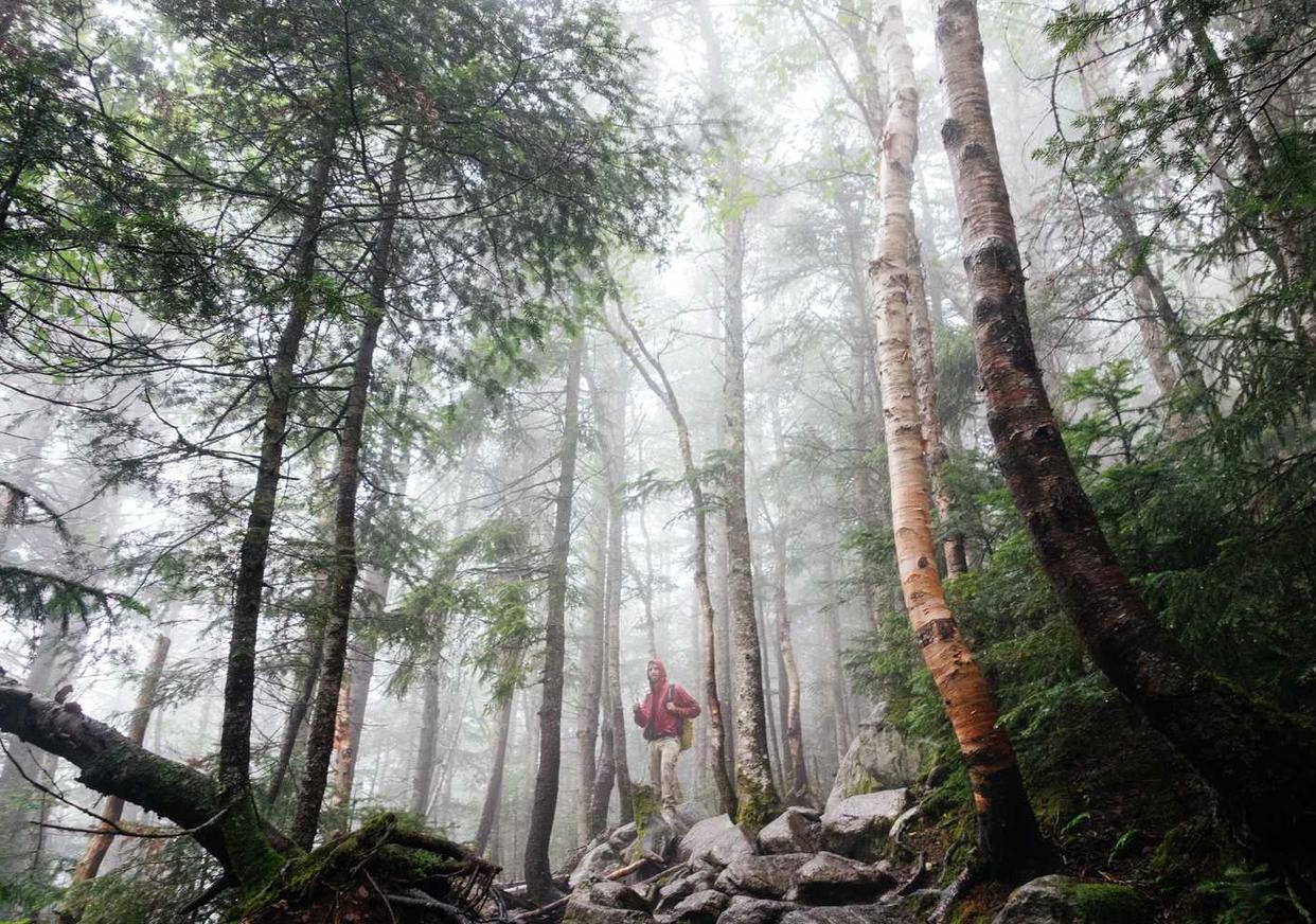 民生通讯实名账号:实名认证在信息化时代中的推广和发展策略