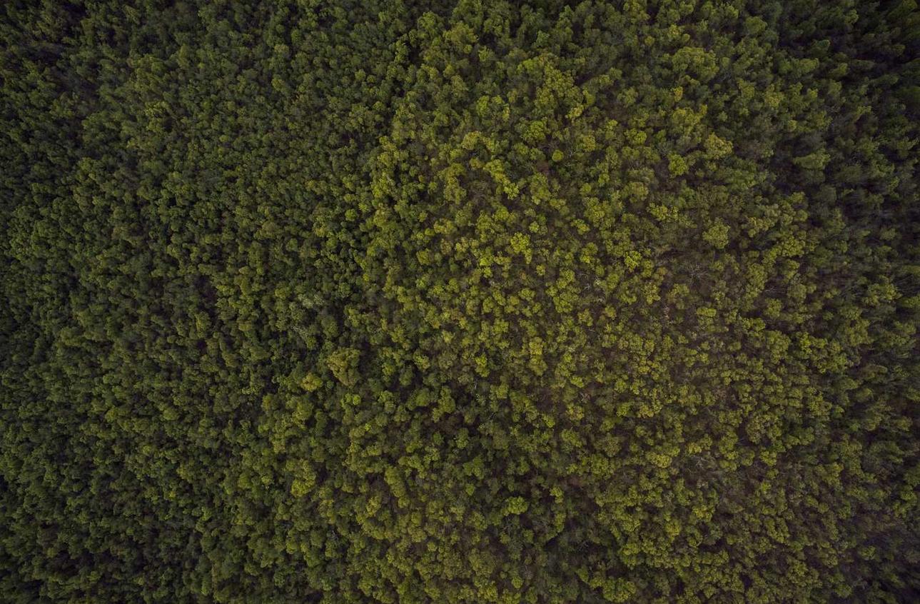 app949.fon详情下载教程