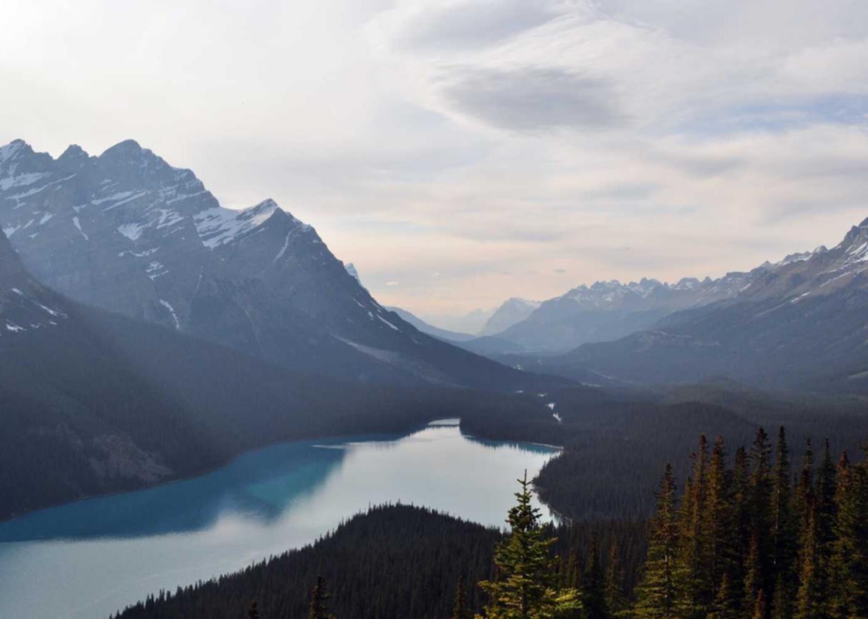 DDOS在线攻击|五河县中小学购买资料平台