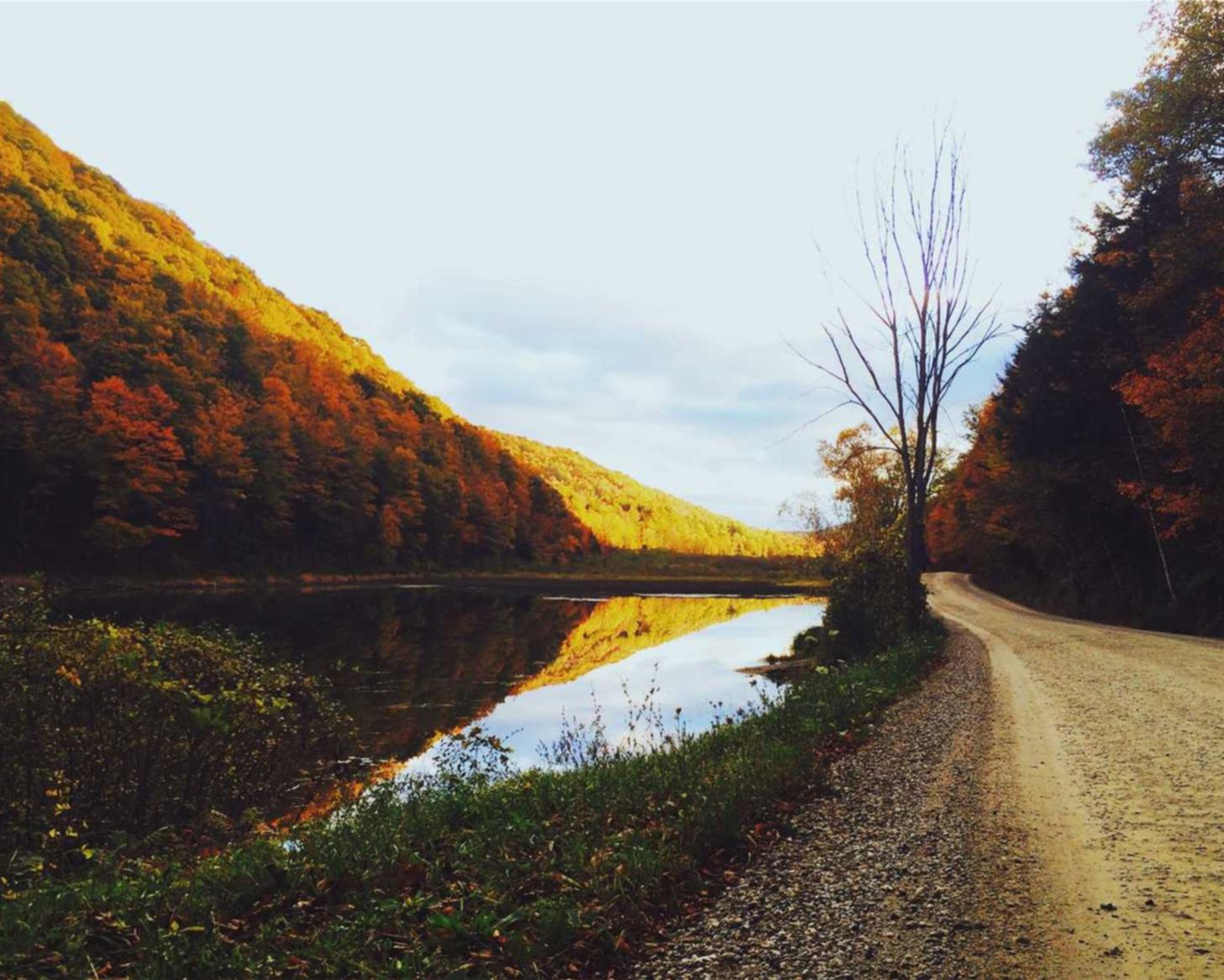 素万乳胶代理平台