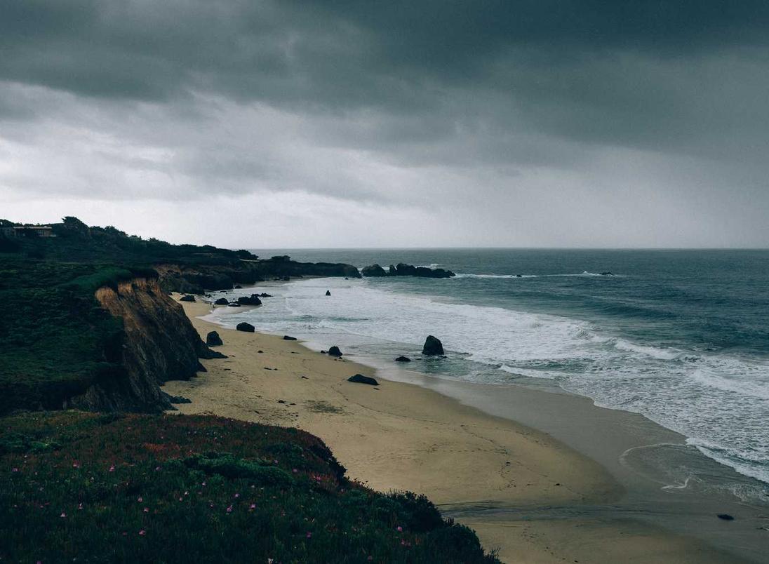 电销卡:中国志愿app 详情下载教程