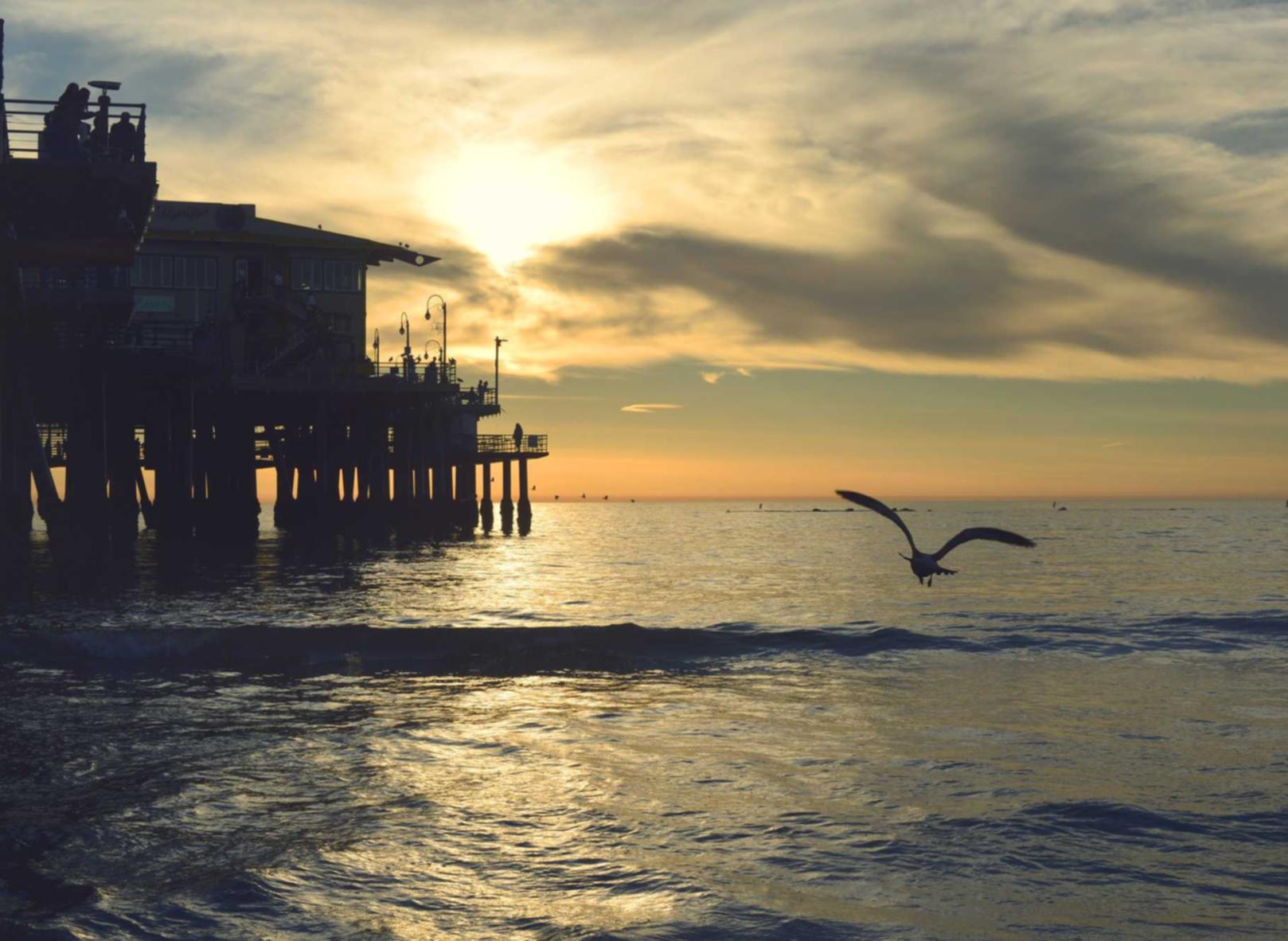 防技术支持措施：游戏公司的应对策略