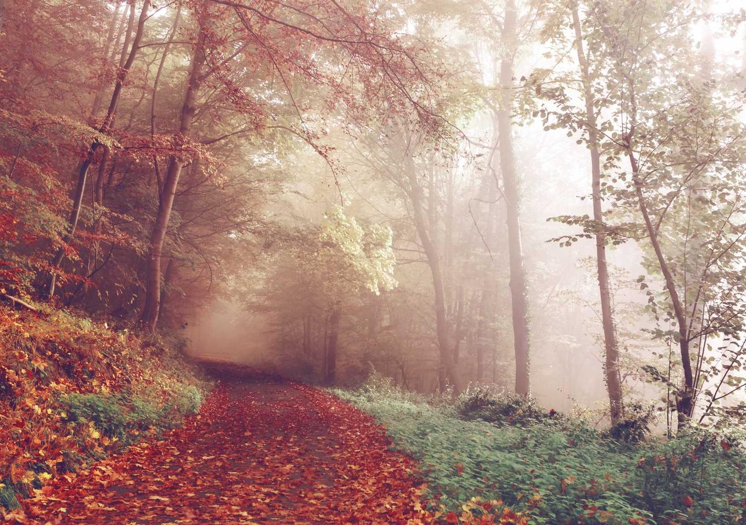 蚁族崛起:龙港工商注册代理