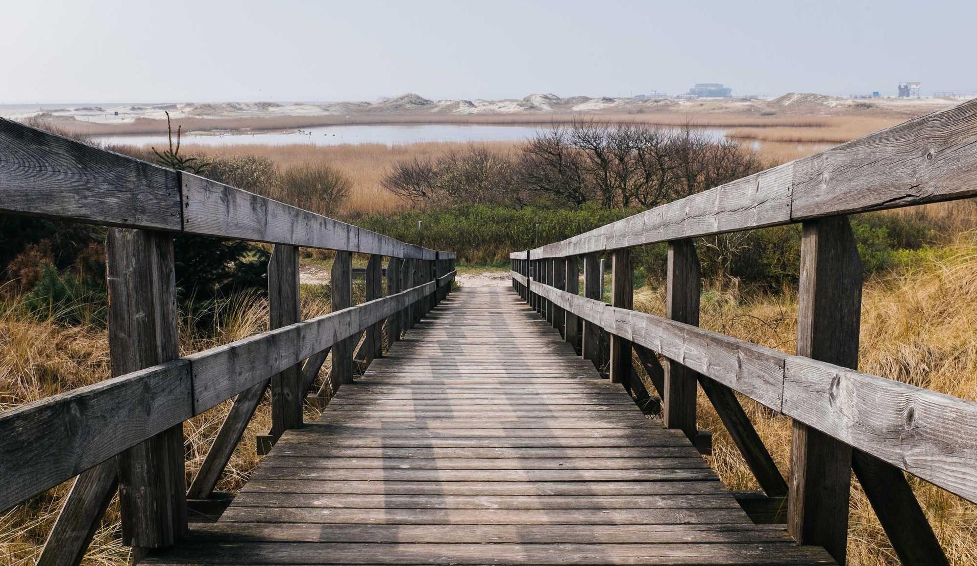 定制实名认证账号:ip代理平台app