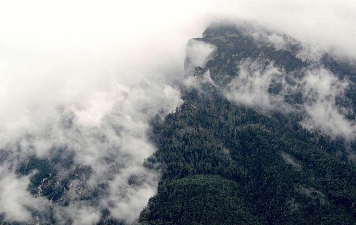 百纵科技实名账号:农民世界账号注册限制