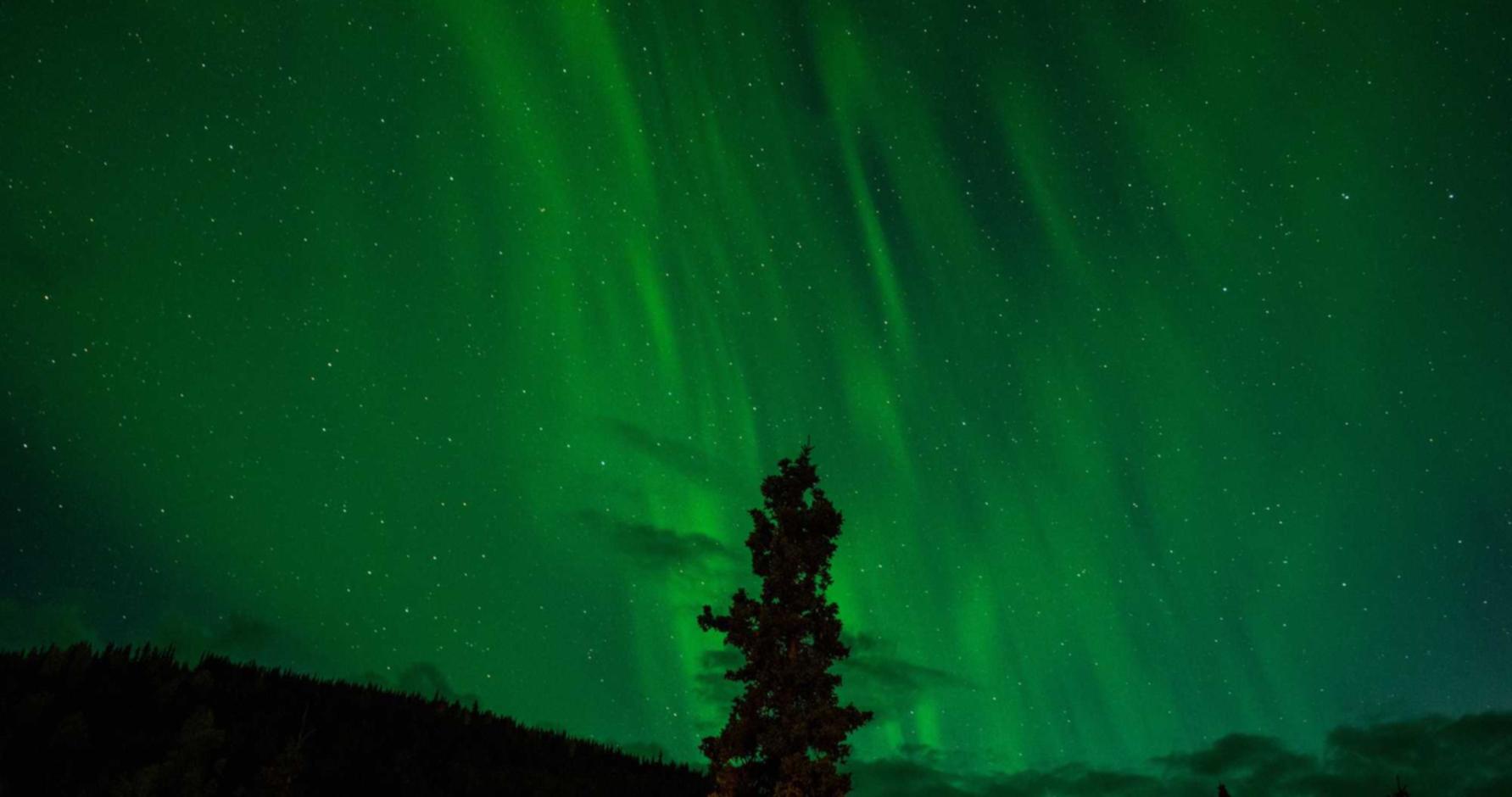 海口礼品购买平台