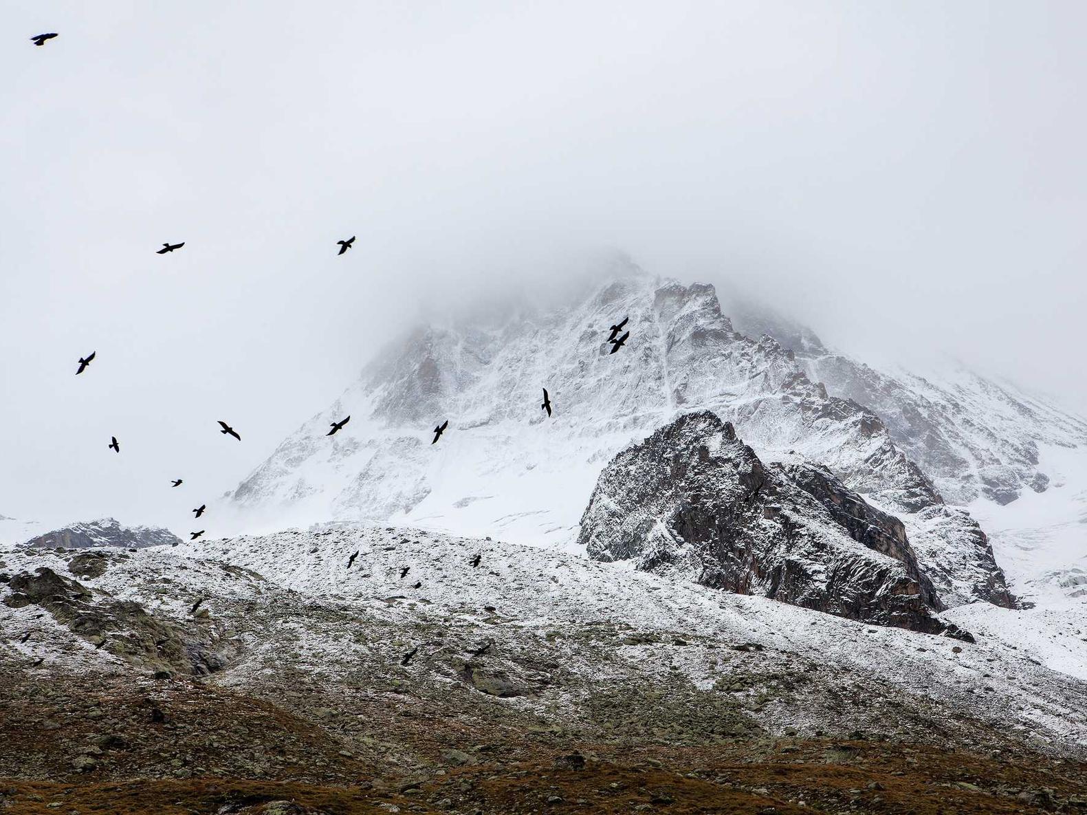 详情下载教程播放器app