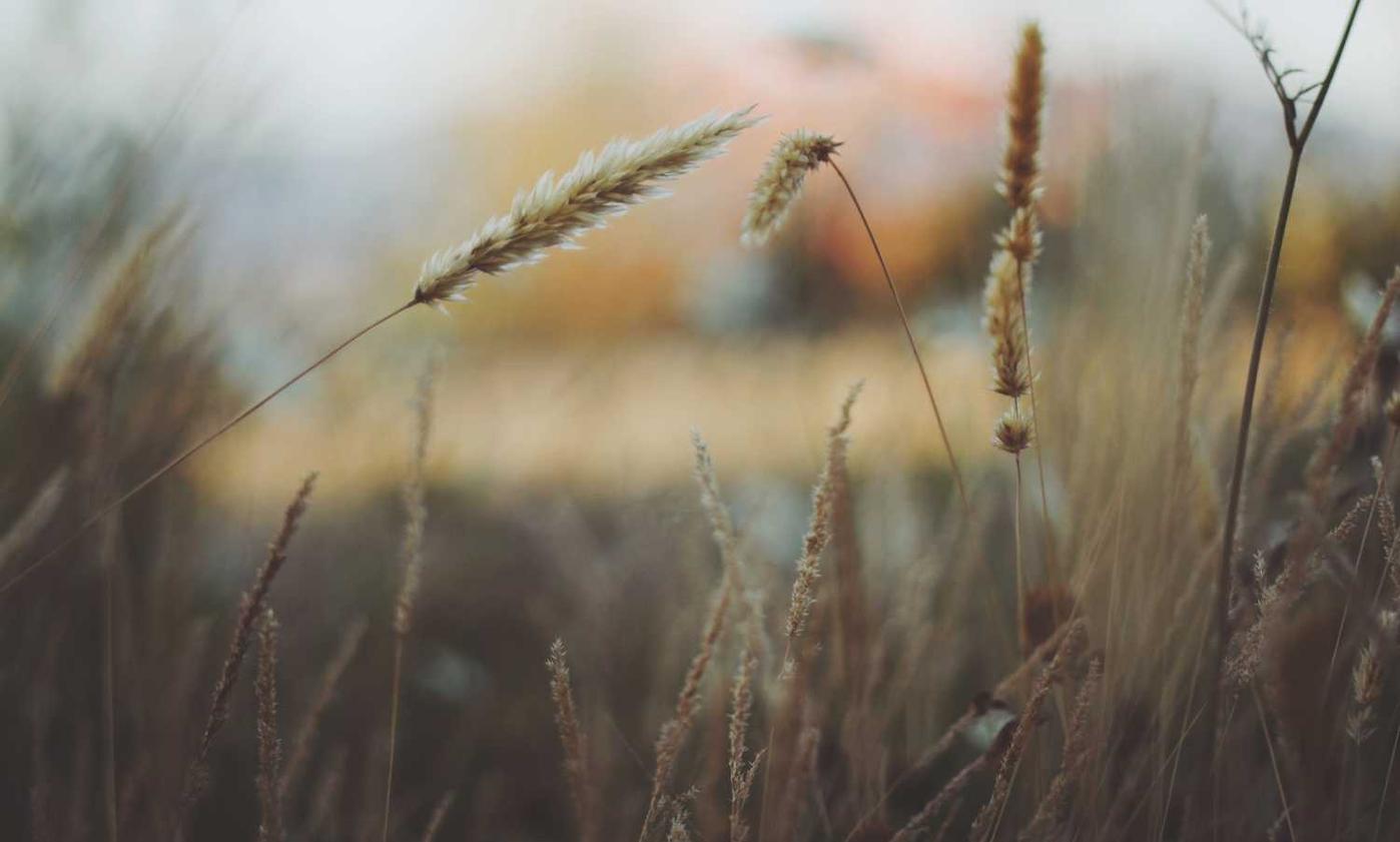 V粉卡实名账号:流量卡和云计算之间的关系