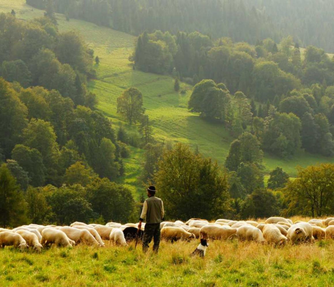 游戏技术支持辅助在中国游戏市场中的现状
