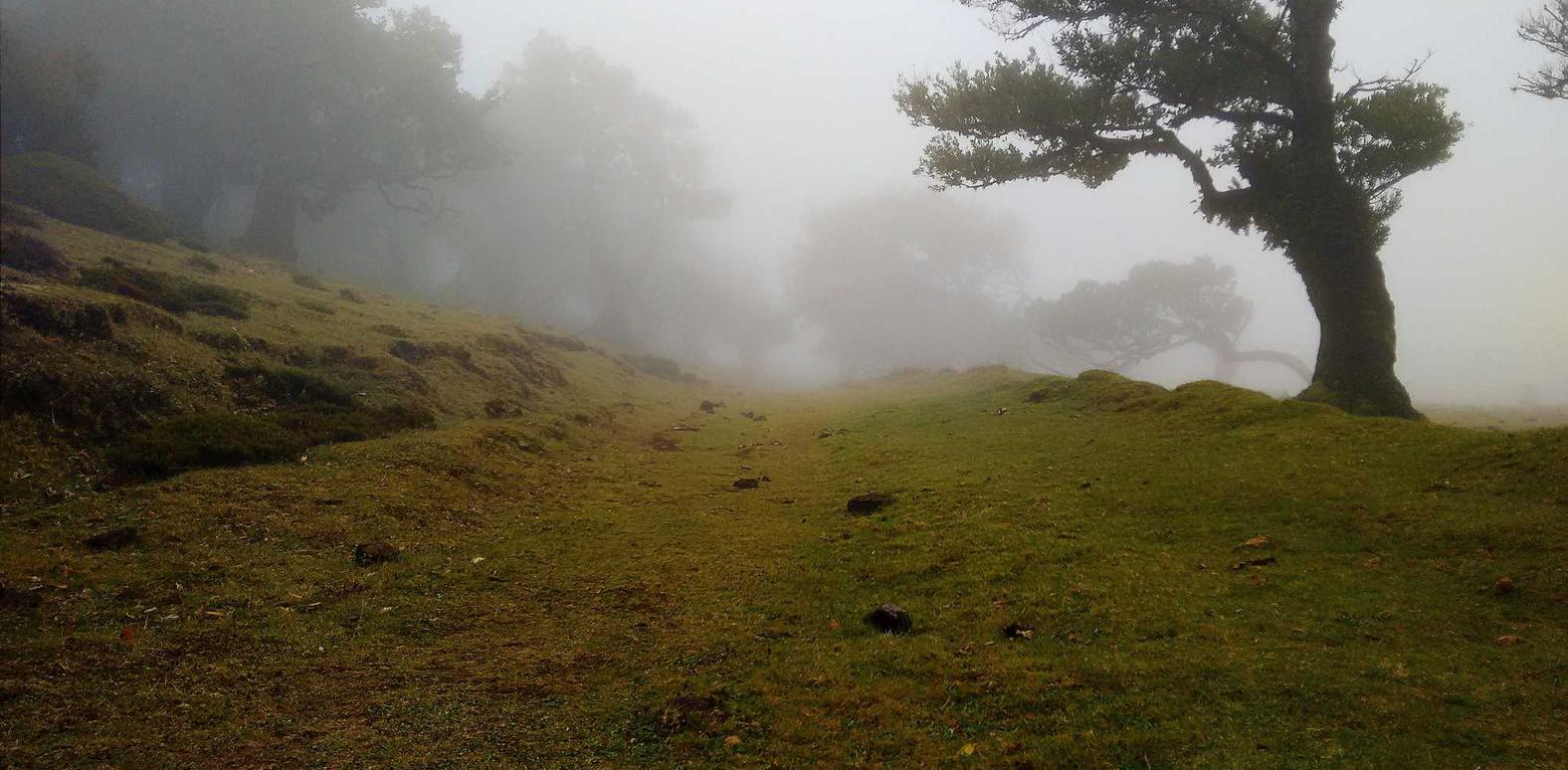 七星柔和7mg:恒易货app详情下载教程