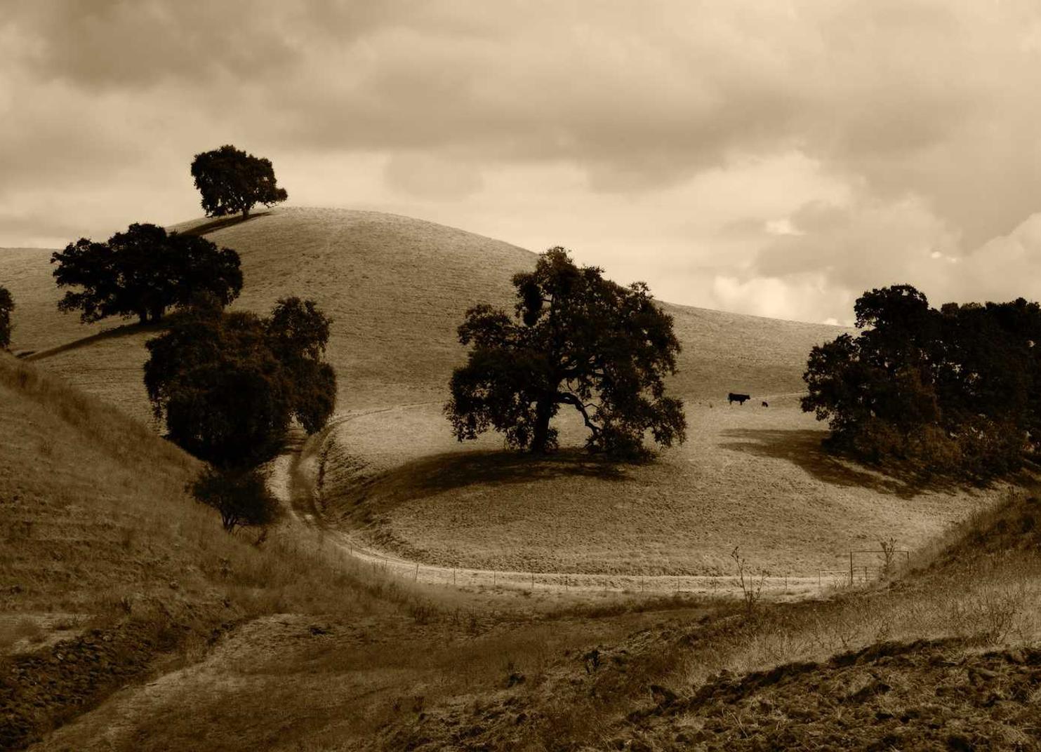 阿里山大华功夫爆珠:佛山零售企业注册代理服务