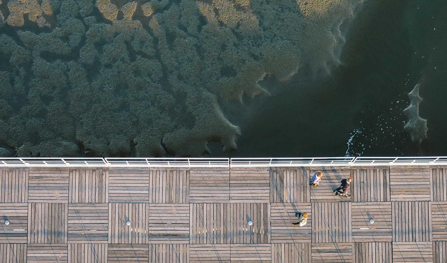 ucloud实名账号:新宝账号注册登录