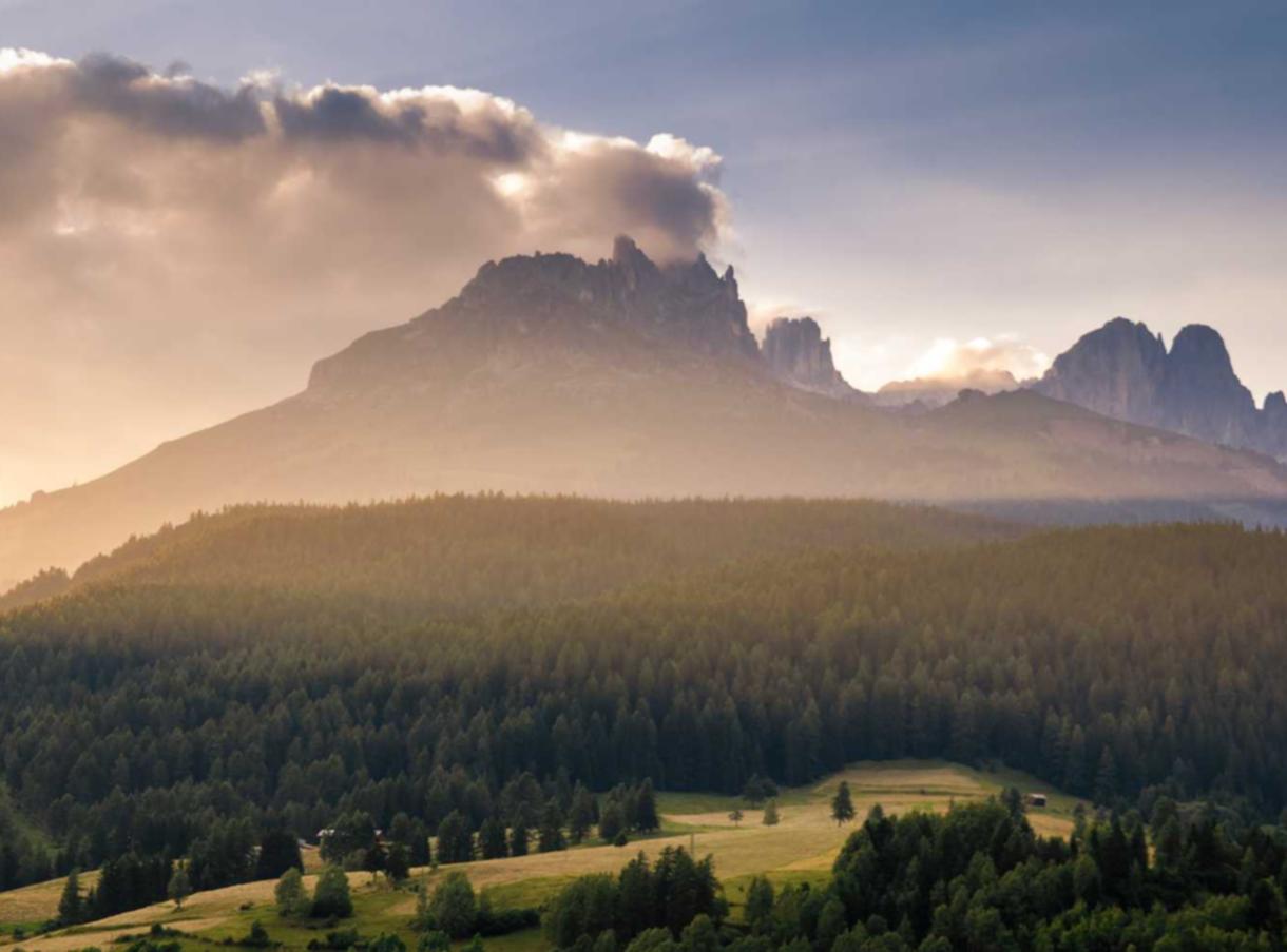 移动手机套餐- 青岛怎么注册企业信箱账号