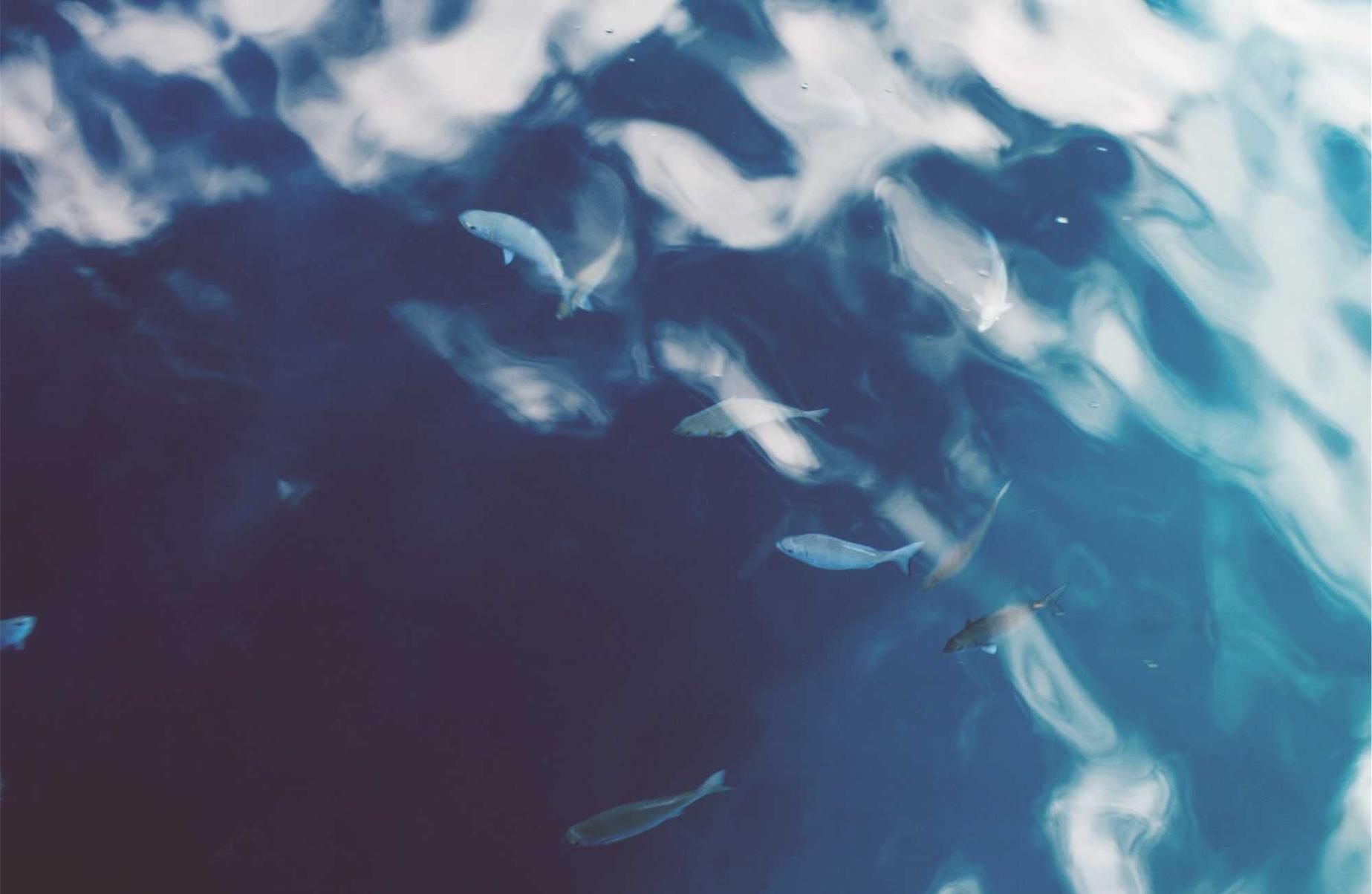 用友通信实名账号:雅歌诗词怎么注册账号