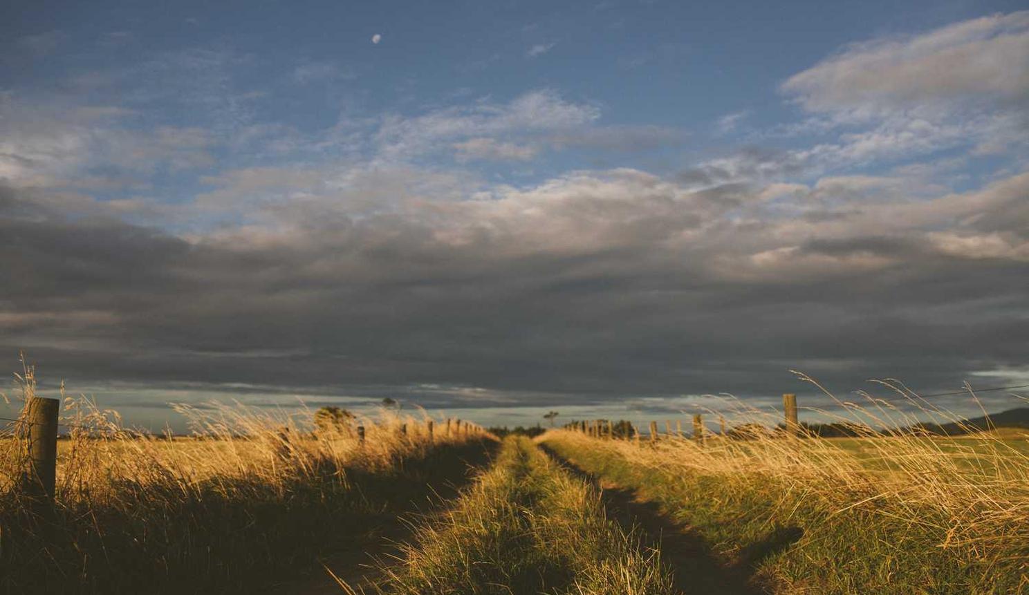 远特信时空实名账号:十二篮app详情下载教程