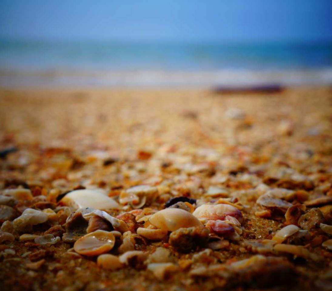 蛮荒志异：起源：阿根廷账号购买游戏网站