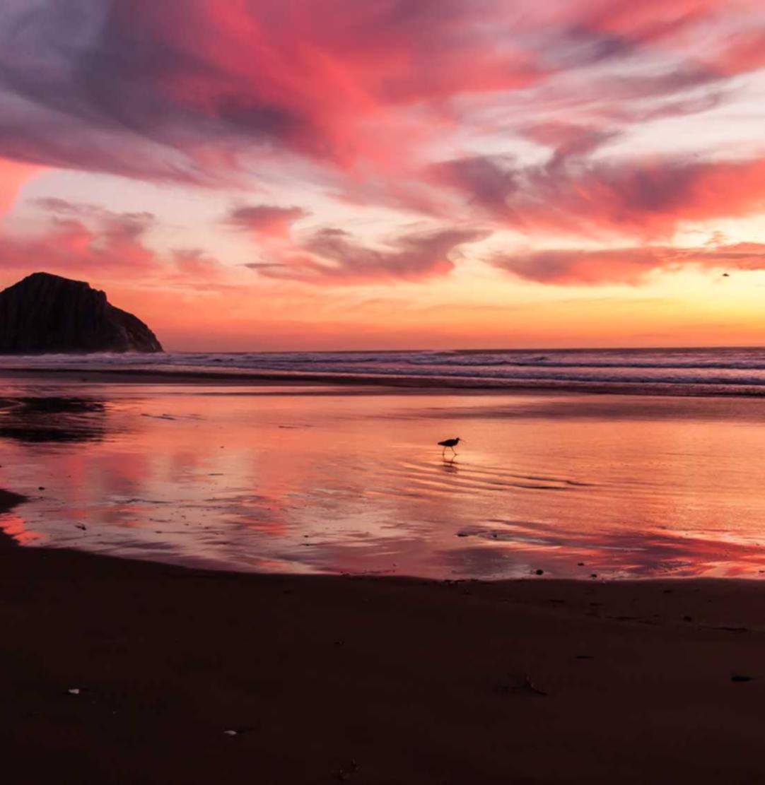 关于企业营销的基本概念