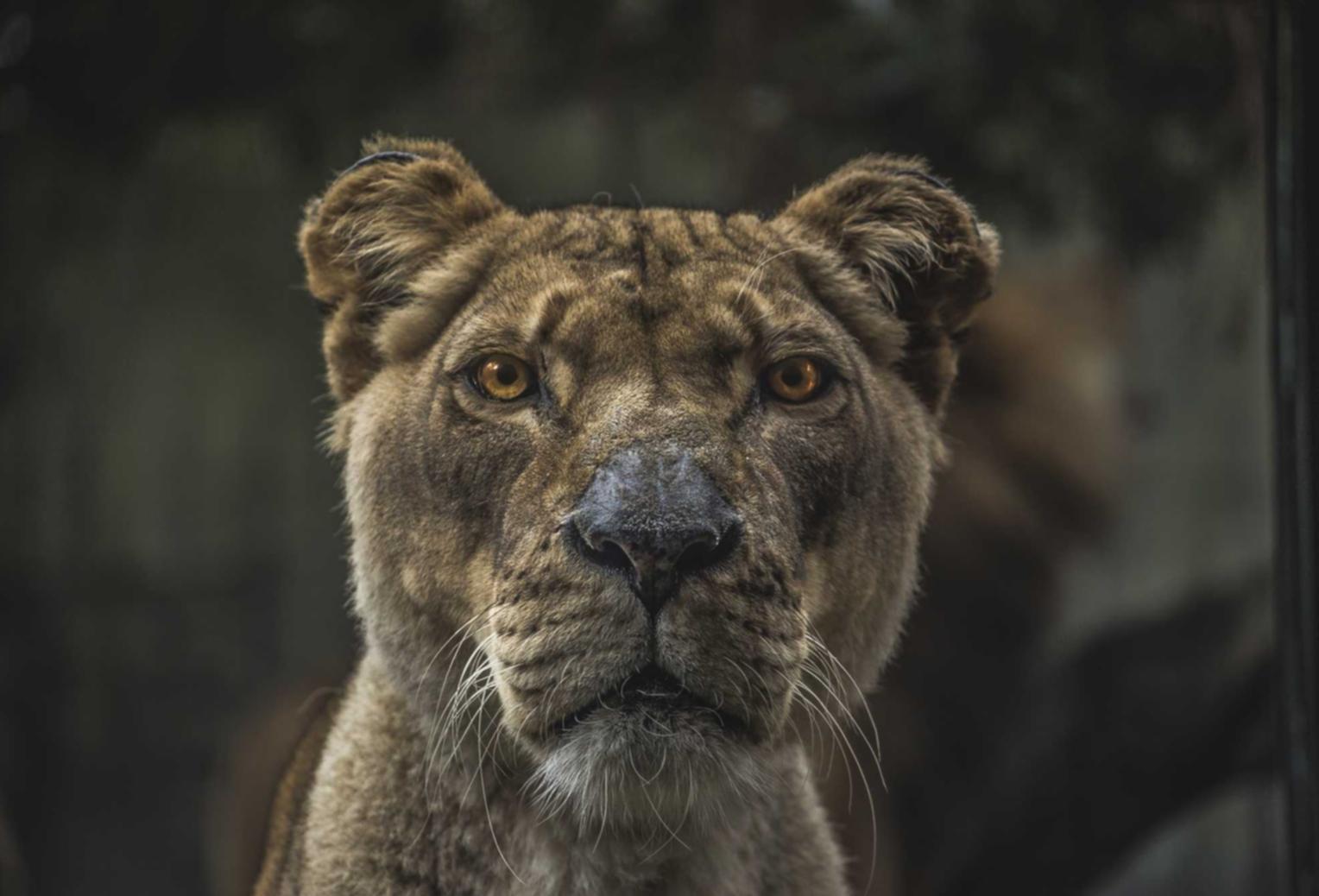 最新的技术支持辅助技术和趋势