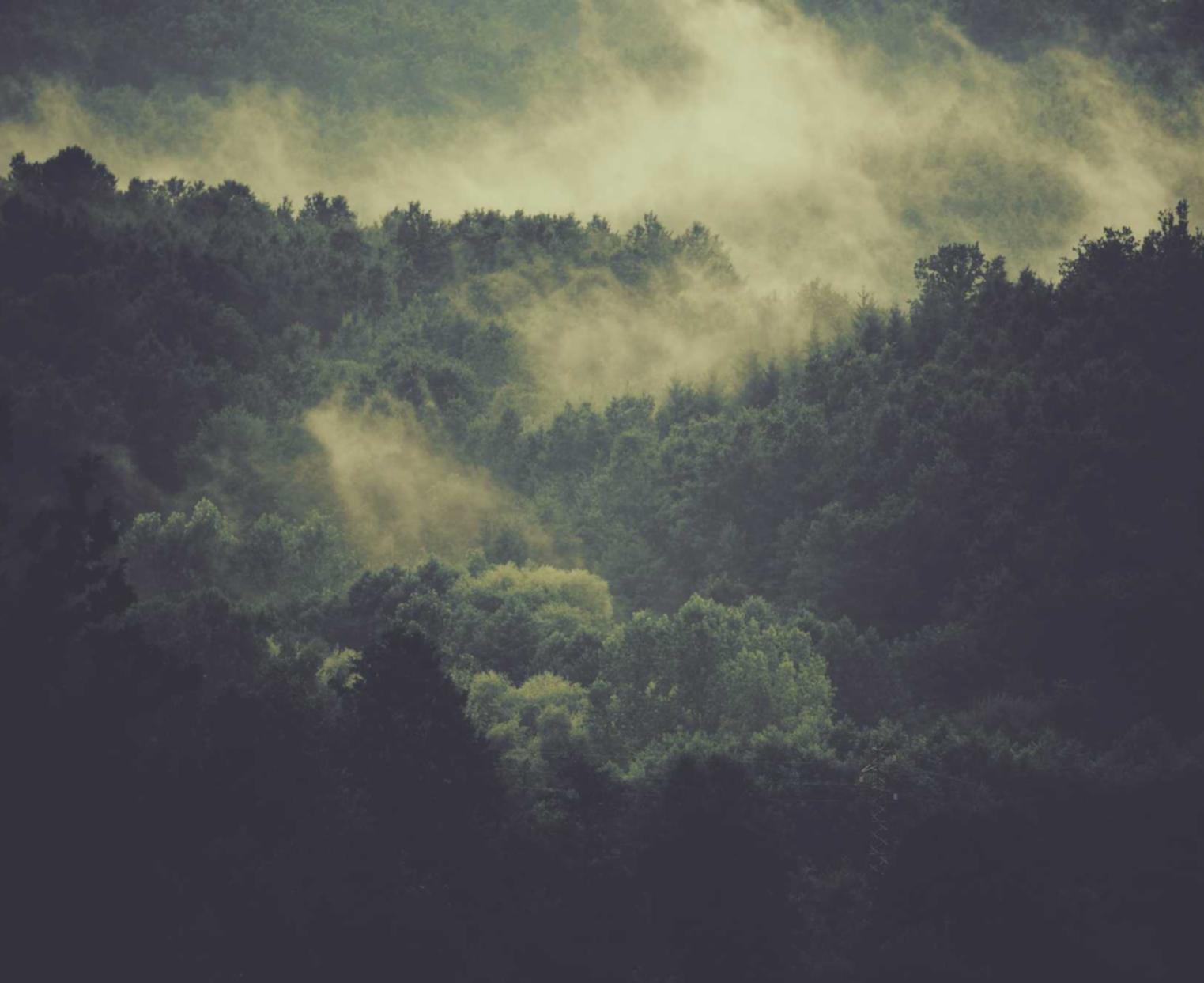 铁塔猫红酒爆珠（粗）：泰顺注册会计代理方案设计