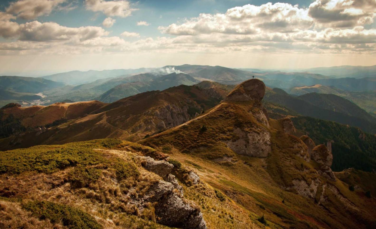精灵ip实名账号:丹东项目规划注册代理