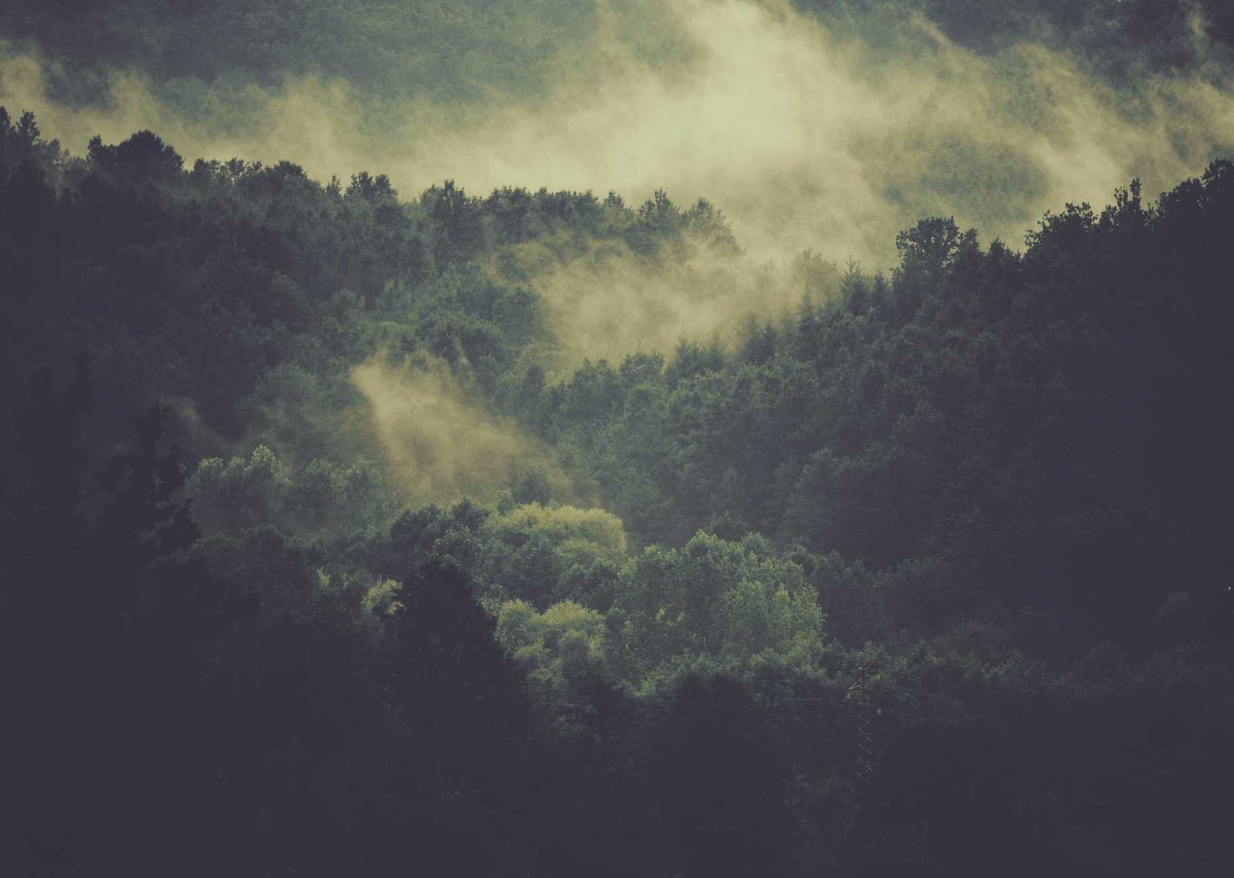 以技术支持辅助为话题的游戏视频资讯