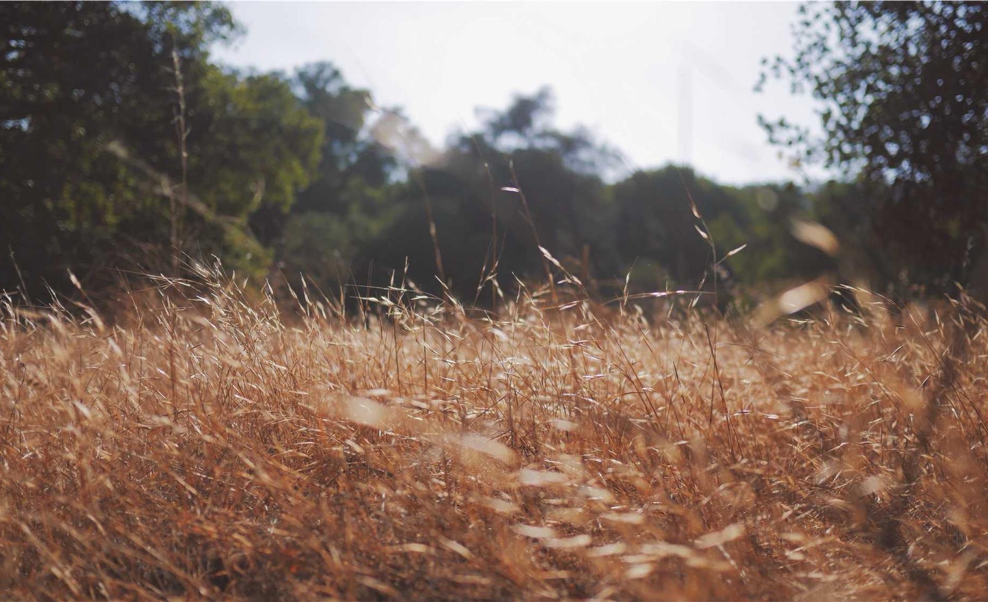 史老师官方账号怎么注册