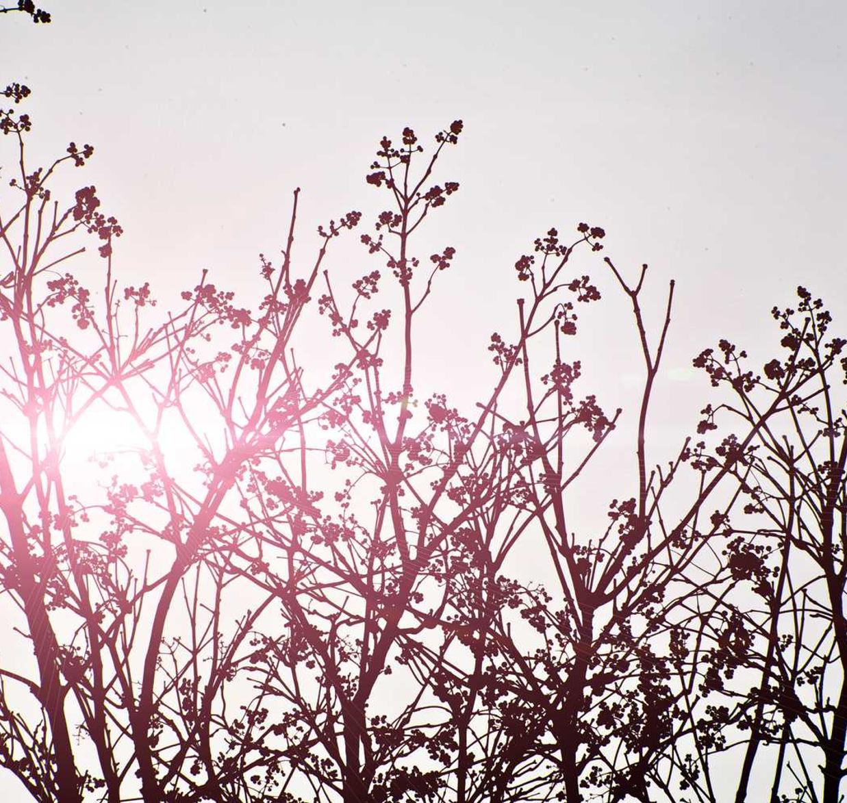 蓝猫移动实名账号:实名制是否会让用户抵触使用互联网?