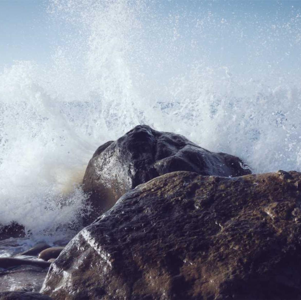 蛮荒志异:起源:抖音购买 平台