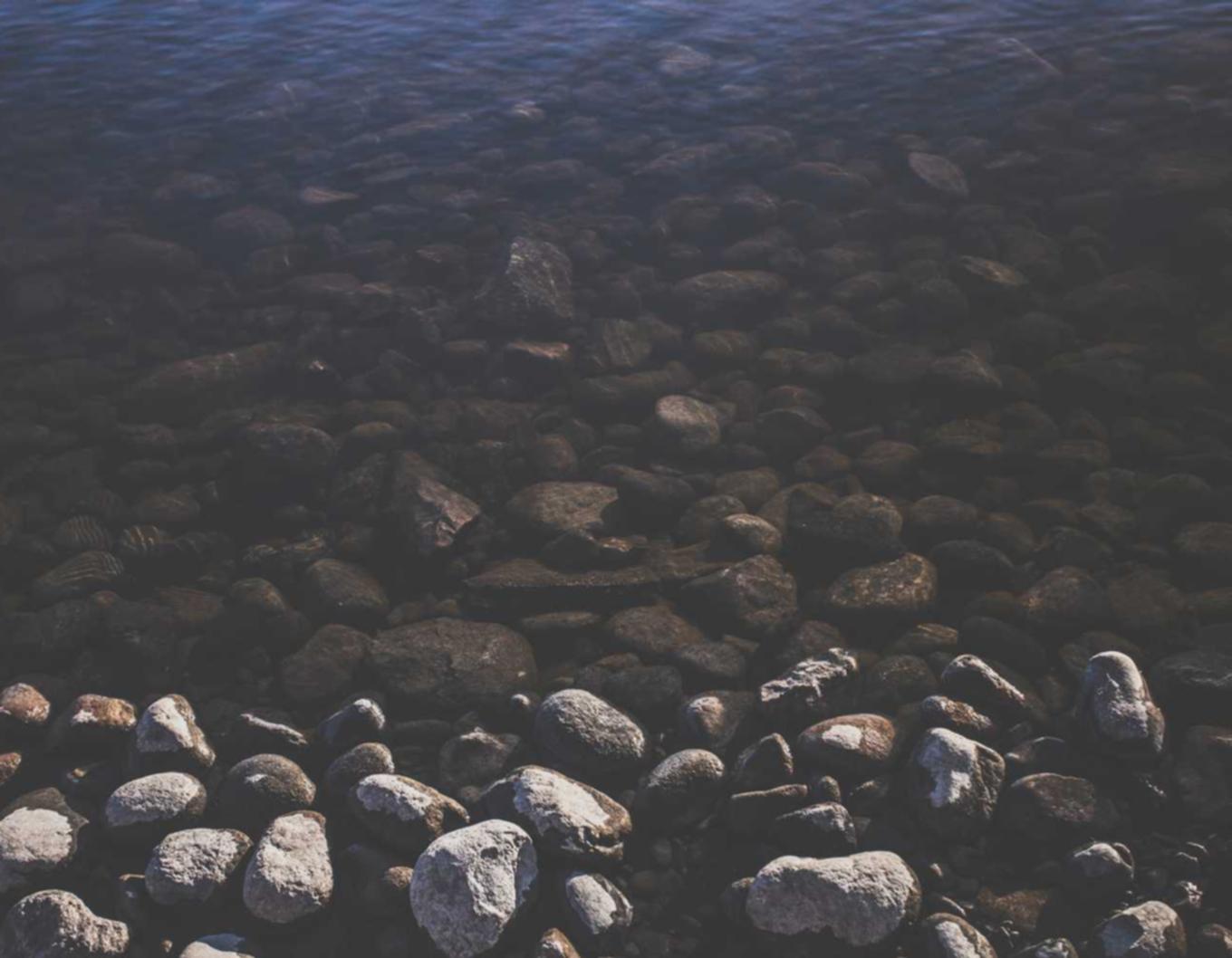 深度ip实名账号：美的通账号怎么注册