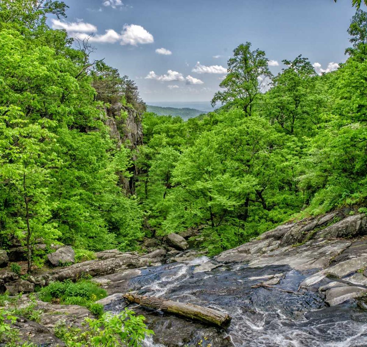 天辰贵州交警12123app详情下载教程