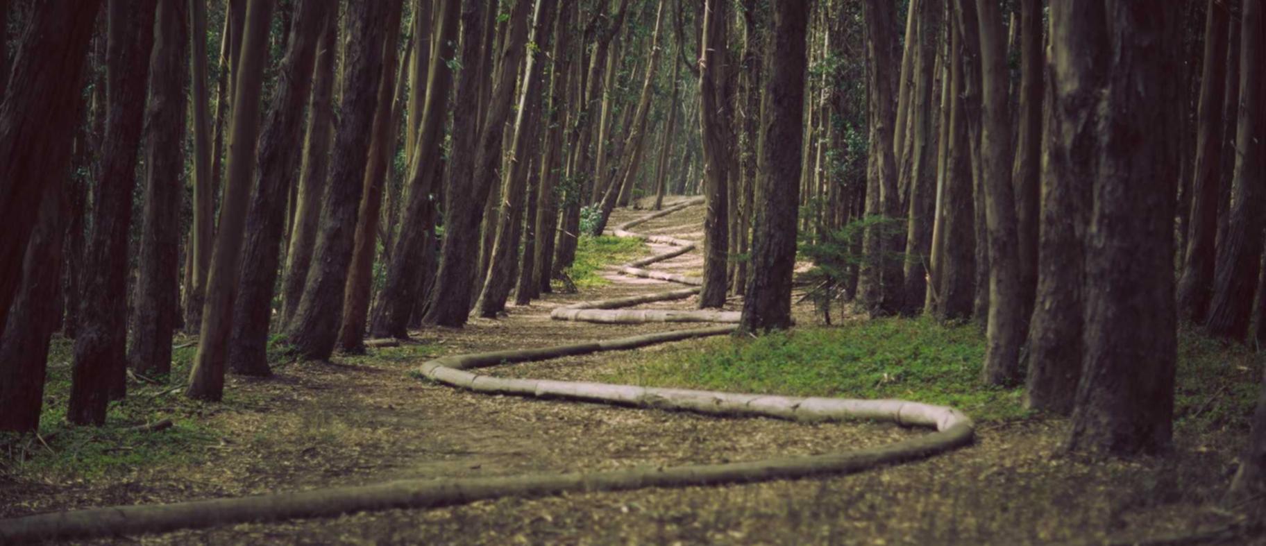 物联卡那个卡好:实名制账号:促进网络传媒的健康发展