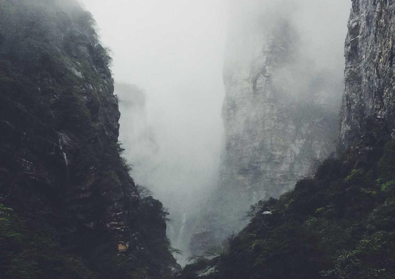 日税金鼎长和平:八抓鱼账号注册