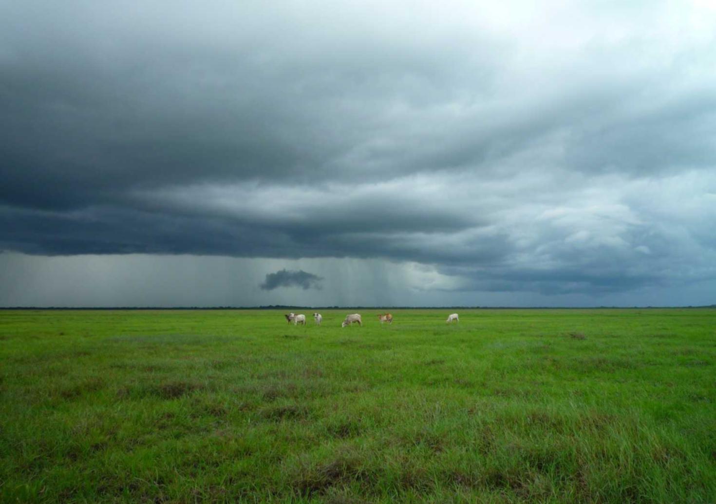 百度云实名账号:聚星平台代理注册代理流程视频