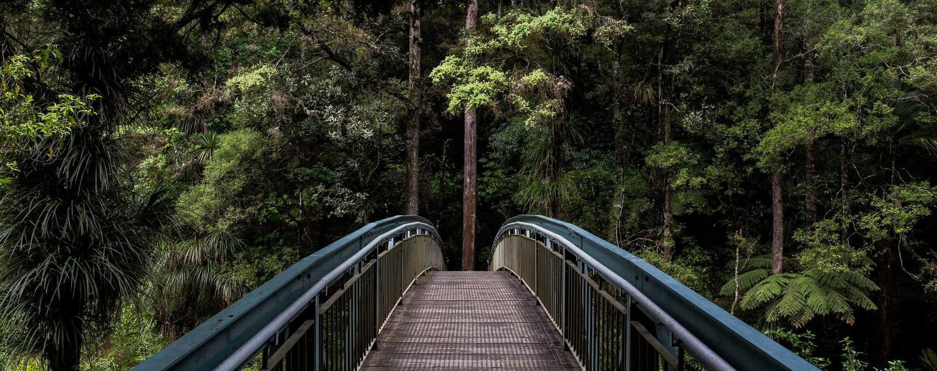 CC在线压力测试|交行买单吧app详情下载教程