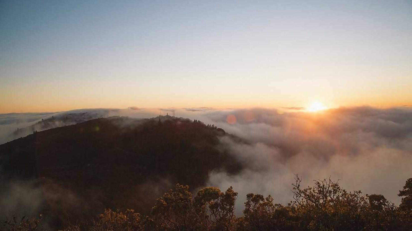 火网实名账号:下沙个体执照注册代理中介