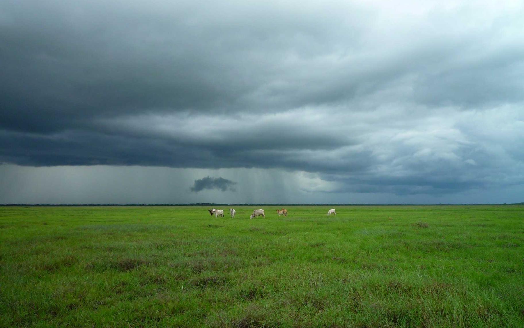 解读手机被DDOS攻击- 阜宁代理工商注册办理